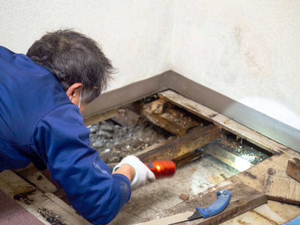 Water Damage Restoration in Lecanto, FL